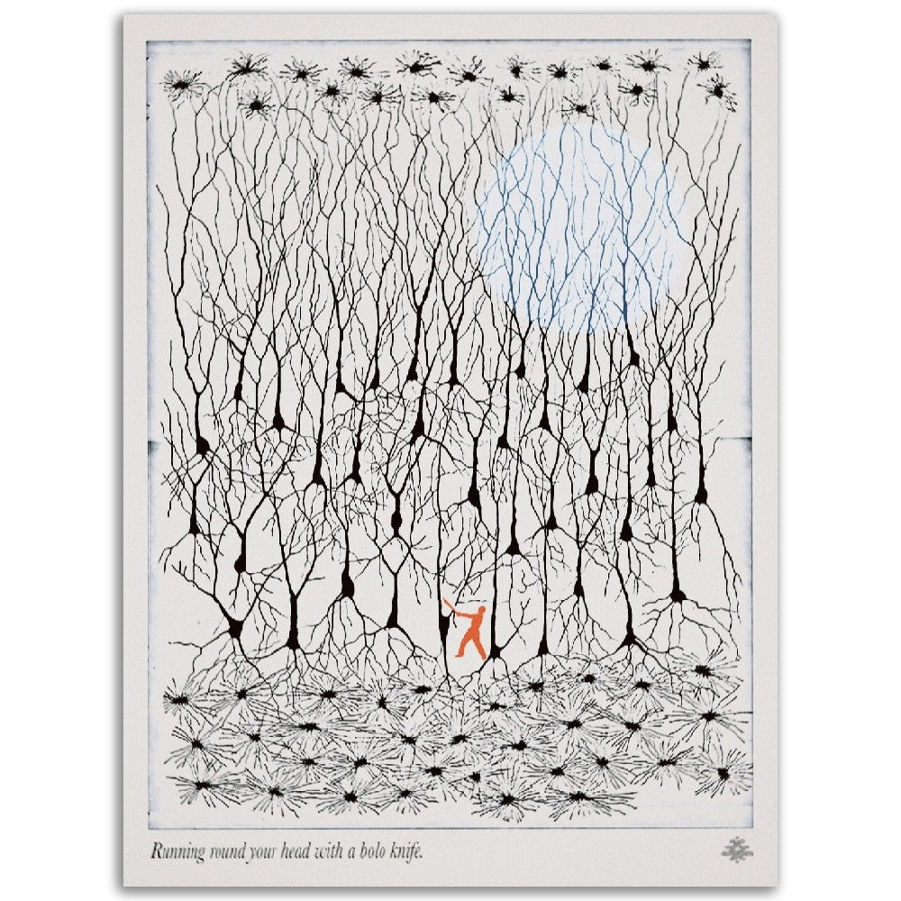 008cccda-46bc-4f5b-aefd-69ce34427e87