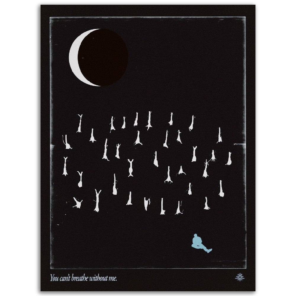 8f7b7ba5-9c8a-4298-a09e-b0d4a8028d41