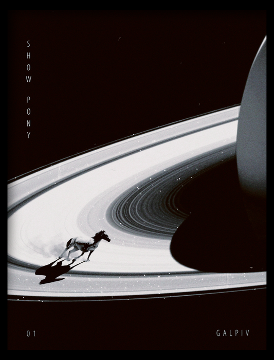 Glass Animals - Show Pony Poster